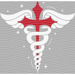 nurse-HS 488